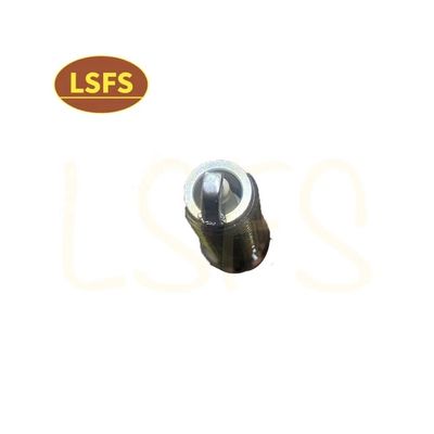 OEM 10162965 bougie d'allumage pour Maxus G10 2.0T